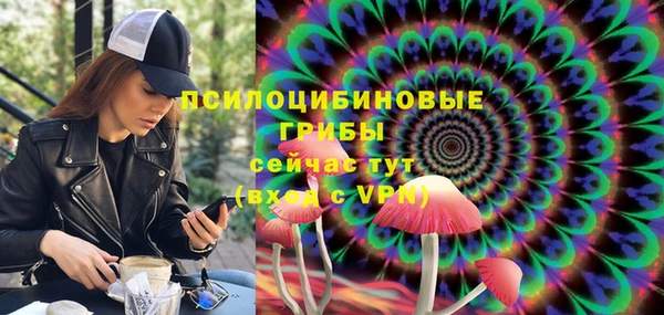 ALPHA PVP Покровск