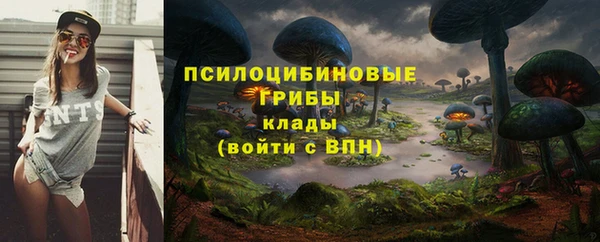 СК Переславль-Залесский