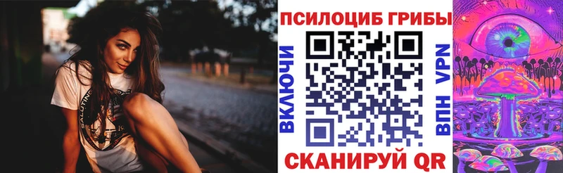 ОМГ ОМГ зеркало  Пучеж  Галлюциногенные грибы MAGIC MUSHROOMS 